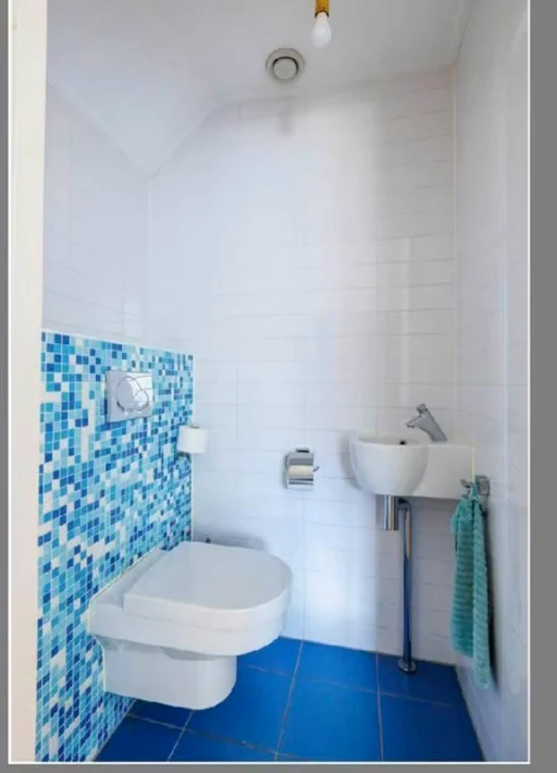 Beginsituatie · bestaand toilet